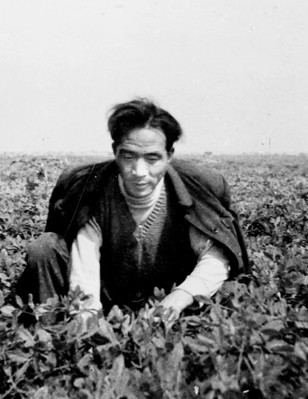 △焦裕祿同志生前在田間勞動。