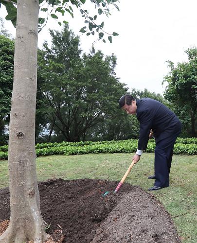 2012年12月7日至11日，習近平在廣東省考察工作。這是8日上午，習近平在深圳蓮花山公園種下一棵高山榕樹。新華社記者 蘭紅光 攝